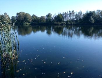 Towarzyskie zawody spławikowo -gruntowe /zakończenie sezonu/ - Zalesie - 30.09.2017