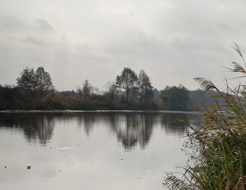 Towarzyskie zawody spławikowo-gruntowe -  "Największa ryba" - Kanał Żerański - Nieporęt - 09.11.2024